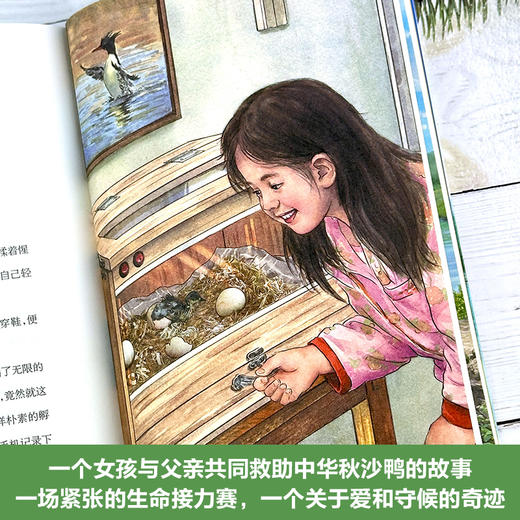 会飞的崔小树 百班千人71期三年级3年级名师推荐课外书必读正版授权（按需加入购物车自选） 商品图3