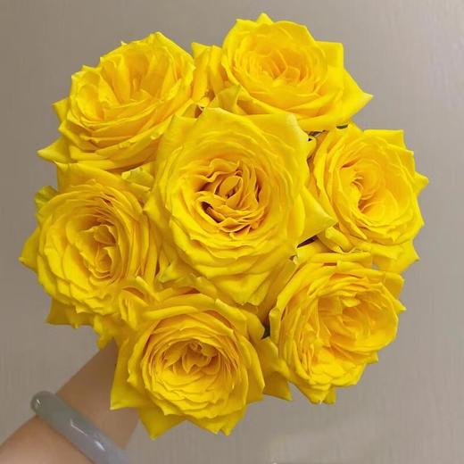 月光漫步(玫瑰花) 约10支/束 商品图0