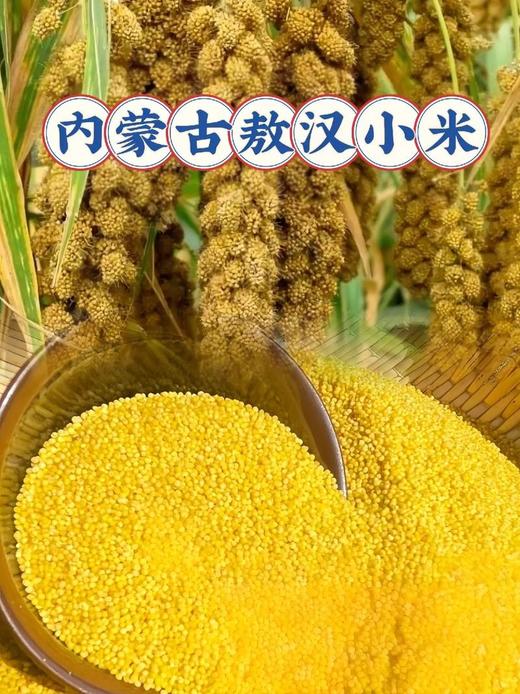 内蒙古敖汉小米15.8元1袋2.8斤，次日到 商品图5