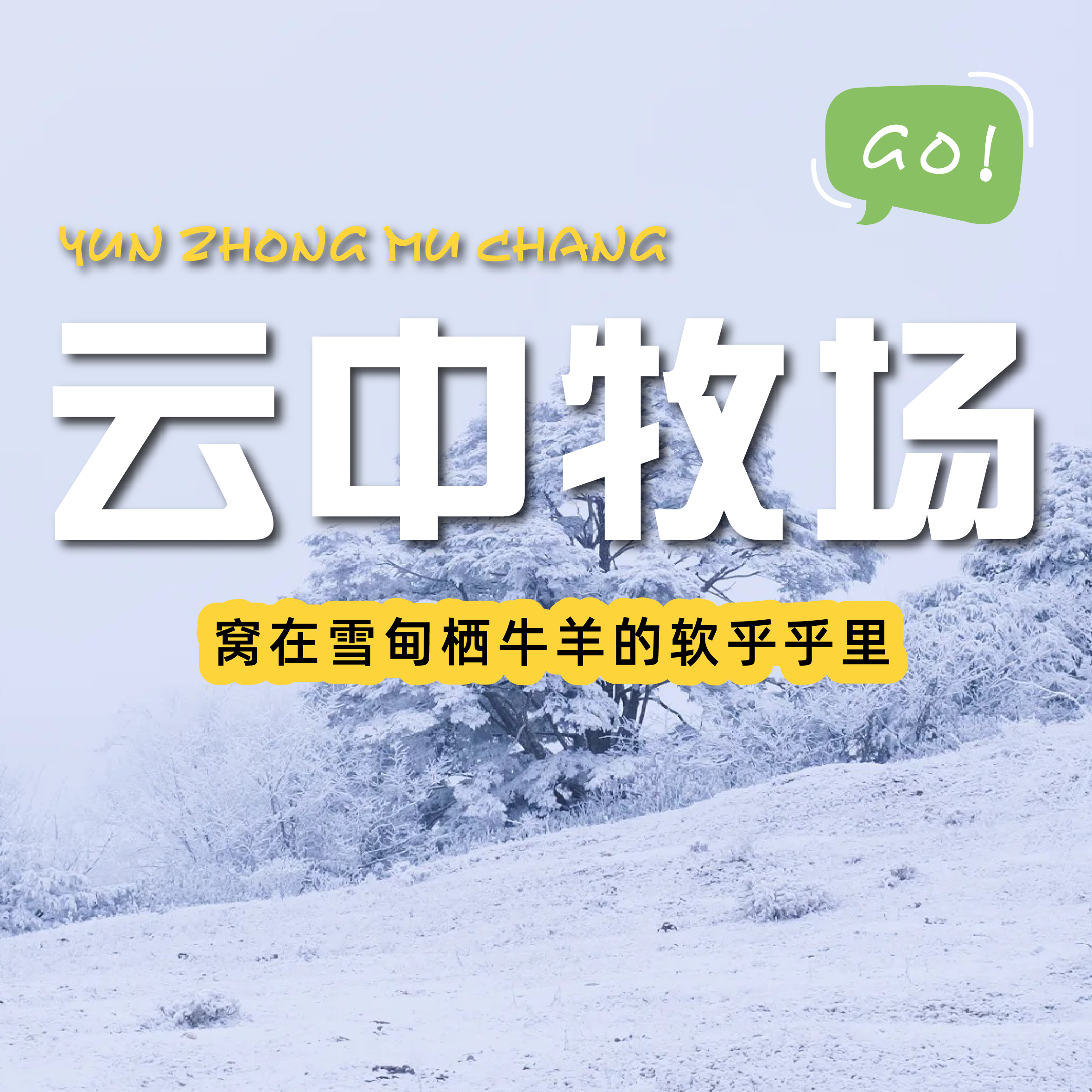 云中牧场一日游｜高山牧场里，牛羊成群及云海雪山
