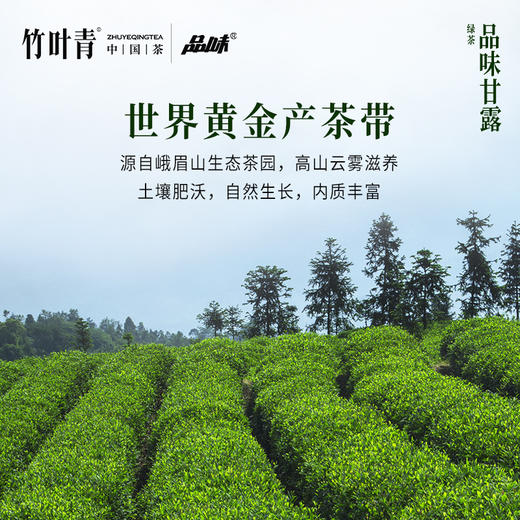品味甘露绿茶一级茶叶罐装100g四川绿茶茶叶自饮装竹叶青茶业出品 商品图2