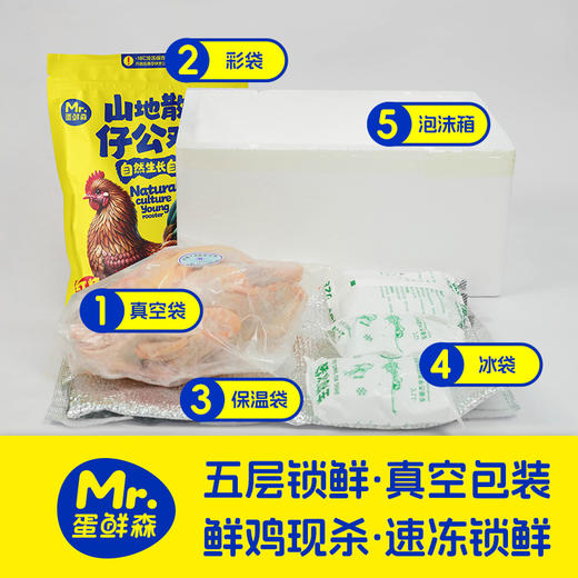 山地散养仔公鸡 | 69.9到手2只公鸡！再赠2包炒鸡酱！纯正皖南土鸡 发酵谷饲喂养 无抗标准养殖 鲜鸡活杀 商品图4