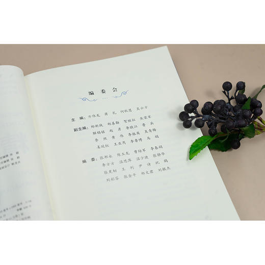 精准管控：企业高频劳动争议解决之道 亓伟龙 蒋礼 何秋慧 吴云方主编 法律出版社 商品图2