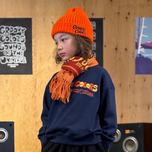 日本GC童装 Groovycolors 双色品牌标识廓形卫衣 商品图3