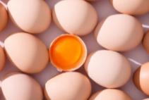 山农土鸡蛋 礼盒装 80枚【BH】【SN】 商品图0