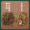 【野生】鱼腥草茶 鱼腥草嫩尖茶 空气污染 吸烟 闻油烟必喝 K仅参与会员折扣 商品缩略图4