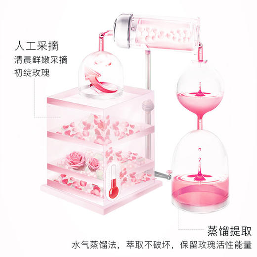 朵萃·玫瑰莹亮爽肤水150g  水气蒸馏法 萃取不破坏 商品图4