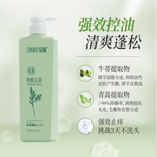 征服800ml 新升级 征服青蒿除螨生姜养护洗发水，滋养头皮，强韧发根润肤沐浴露，护发素改善脆弱发质、受损发丝 青蒿固发柔顺洗发系列 商品图5