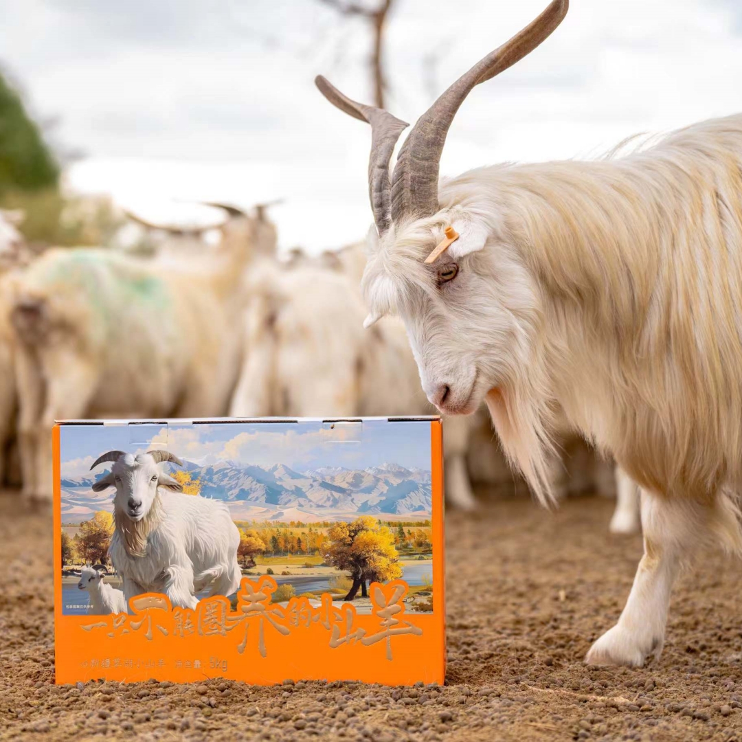 【有机草湖小山羊•新疆】#顺丰冷链  一只不能圈养的小山羊