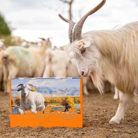 【有机草湖小山羊•新疆】#顺丰冷链  一只不能圈养的小山羊