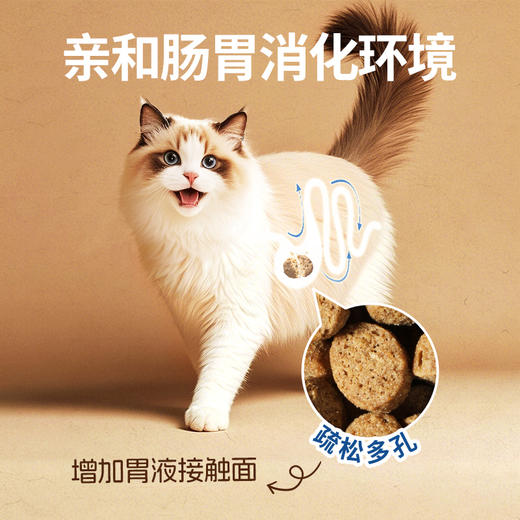 伯纳天纯全价酥化猫粮成猫幼猫通用粮鸡肉乳鸽高鲜肉营养易消化 商品图5