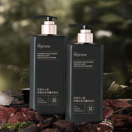热卖!五黑植萃滋养头皮欧橘Orginese何首 乌人参净澈头皮毛囊洗发水500mI/瓶 商品图1