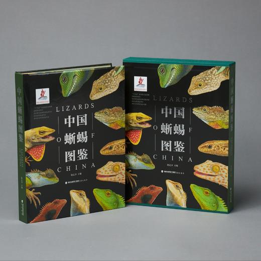 《中国蜥蜴图鉴》限定特装版特别版 海峡书局 顽主驿【官方正版 48小时发货】 商品图2