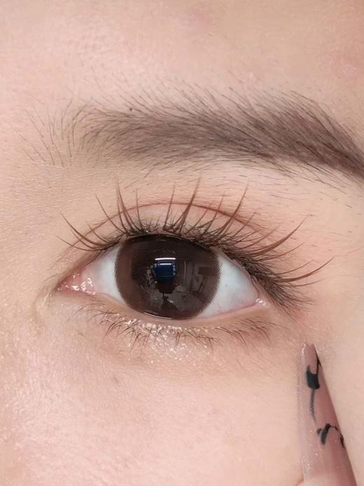 hancon 日抛 （10片装）  大杯满栗 直径14.5mm着色14.4mm 商品图2