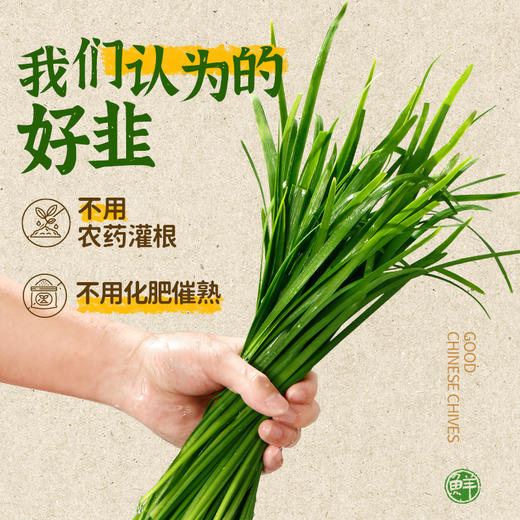 小黄象韭菜鸡蛋虾仁三鲜馅饼 商品图1