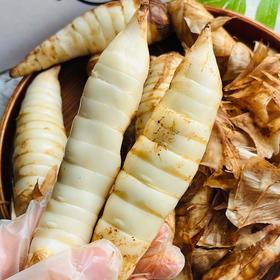 广东茂名竹薯 长得像姜 比鸡腿还好吃 炒菜/煲汤/甜汤均可