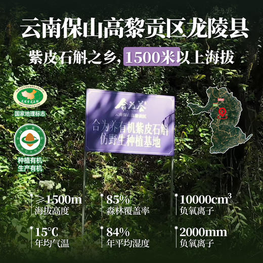 合为养   紫皮石斛袋装1袋/30ml*30条 商品图2