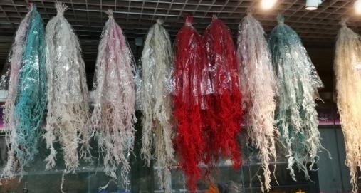 过山龙--干花 商品图0