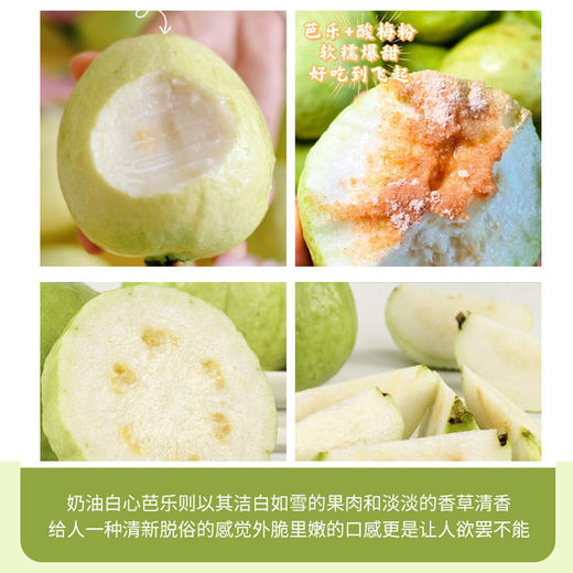 【奶油芭乐】果香与奶香交织 软糯清甜 果籽细小可食 老少皆宜 净重3斤 商品图5