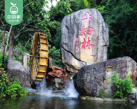 泉州永春|牛姆林青柳钱山庄轻奢房1间/1晚（周末不用补差）【叼生活】 商品图1