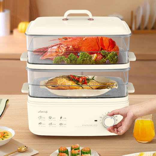 小画仙电蒸笼LDZL-8088 商品图4