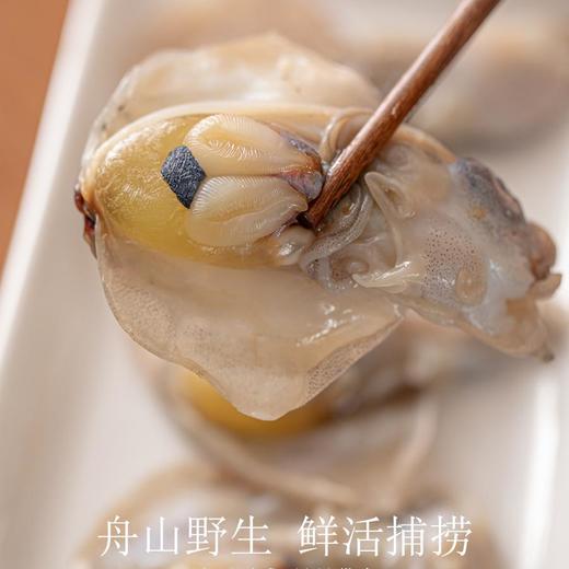 东海野生墨鱼宝 | 特级品质 舟山野生 鲜活捕捞 咸香美味 干净无沙 自然本味的鲜美 商品图5