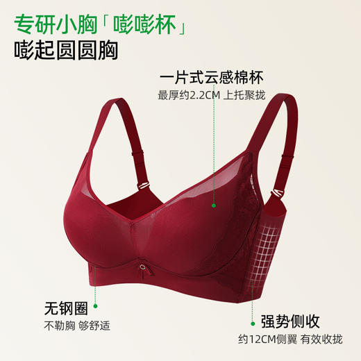 【商场同款】熳洁儿 小胸聚拢文胸云感棉中厚杯光面无痕百搭莫奈花园系列25701516 商品图1