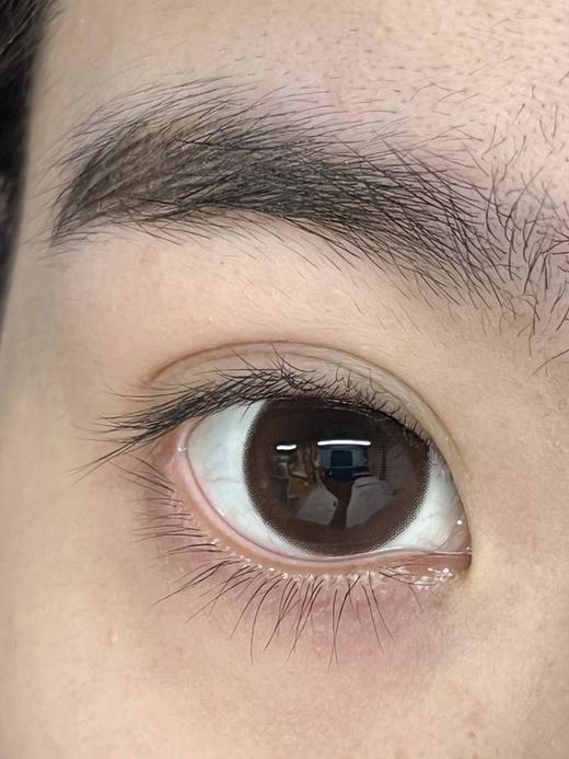 hancon 日抛 （10片装）  大杯满栗 直径14.5mm着色14.4mm 商品图4