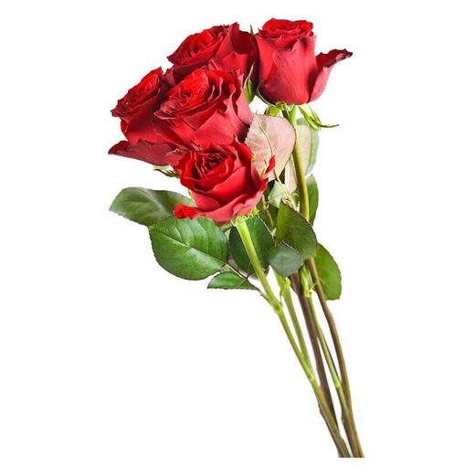 玫瑰花束 鲜花 6支/束 商品图2
