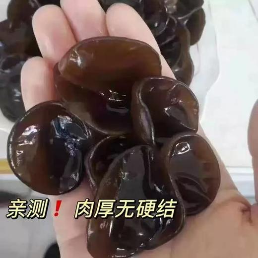 【甄选】正宗东北椴树秋木耳肉厚无硬结易泡发脆嫩好吃500g/袋 商品图2