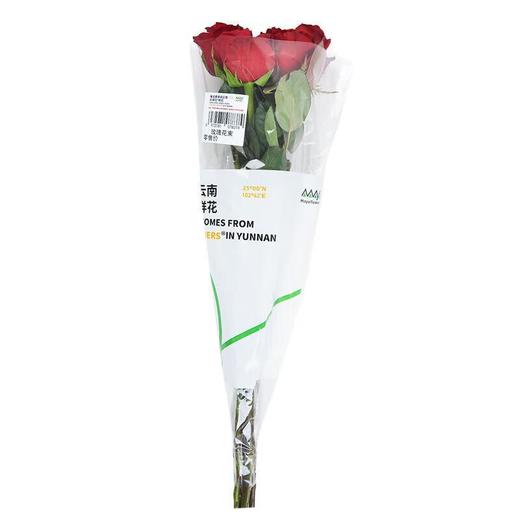 玫瑰花束 鲜花 6支/束 商品图3