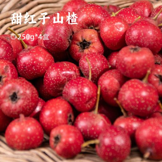 甜红子山楂 | 果香四溢 酸甜生津 细腻绵软 果形玲珑 颗颗精选 商品图0