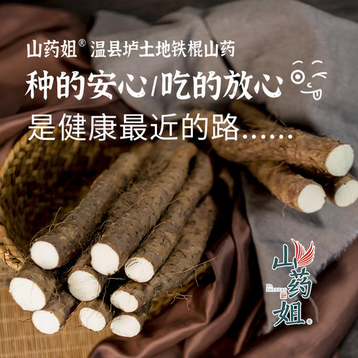 山药姐温县垆土铁棍山药 自有基地 人工采收 肉质洁白细腻 蒸煮炖营养健康 商品图3