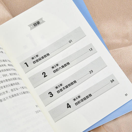 数独训练 数独游戏 数独思维训练 数独从入门到精通 数独小本便携  数独国家队教练主编 商品图2