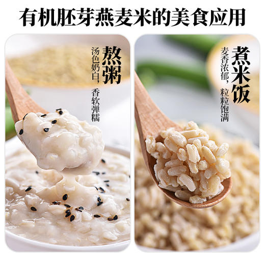 人民 瓶装有机胚芽燕麦米400g 商品图4
