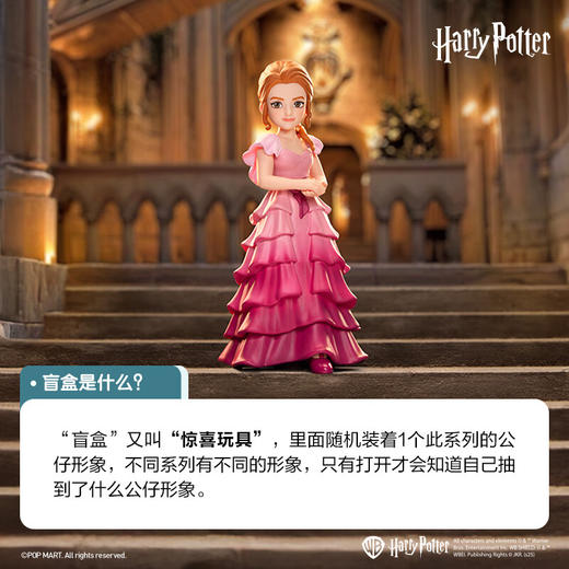 POP MART 泡泡玛特哈利波特与火焰杯系列手办盲盒 商品图2