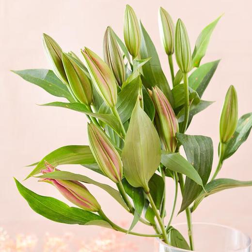 百合 1束 商品图0