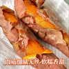 【山东烟薯25号】果肉金黄 绵密起沙 蒸烤皆甜 现挖现发 3-5斤（单果3两-8两） 商品缩略图5