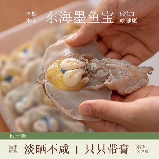 东海野生墨鱼宝 | 特级品质 舟山野生 鲜活捕捞 咸香美味 干净无沙 自然本味的鲜美 商品图3