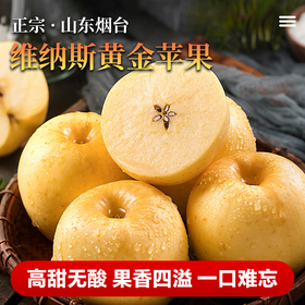 山东维纳斯黄金苹果 新鲜水果 整箱发货