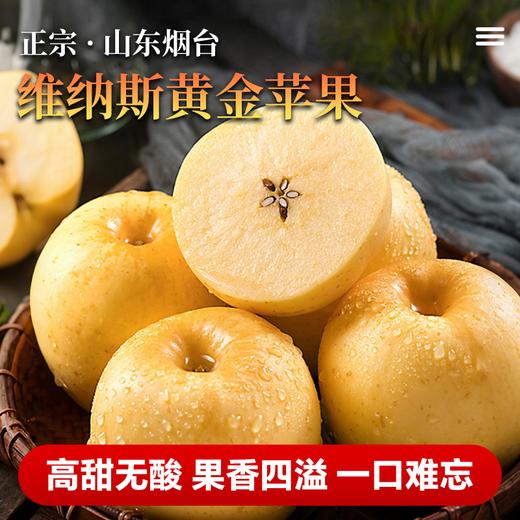 山东维纳斯黄金苹果 新鲜水果 整箱发货 商品图0
