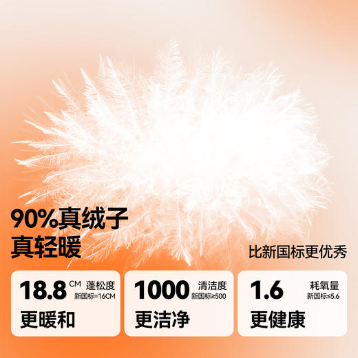 女童短款羽绒服冬季新款安奈儿童装EG545639 商品图2