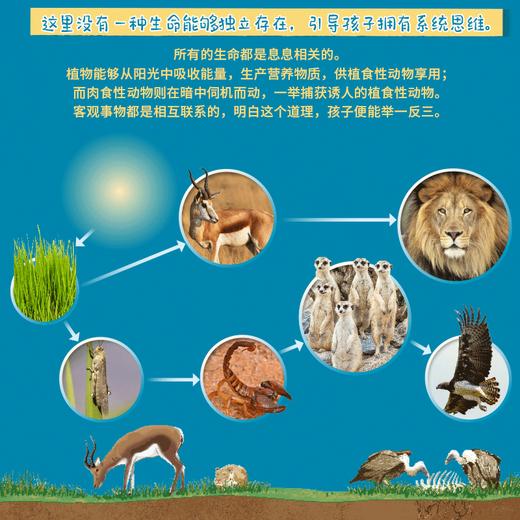 【正版DK科普绘本】DK生命周期 DK水百科 儿童生命教育  儿童百科全书  小学生科普书  跨学科知识  亲子共读 商品图8