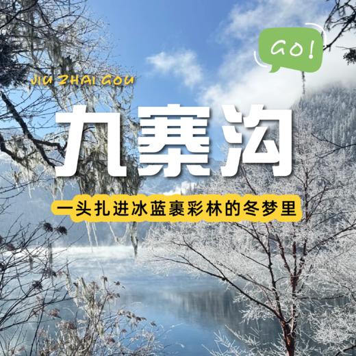 【绵阳出发｜九寨沟两日游】走进九寨沟看海子边的山花烂漫 商品图0