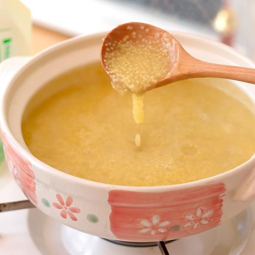 黄土高原的米脂黄小米|山人优选，真正能熬出三层米油的黄小米 商品图4