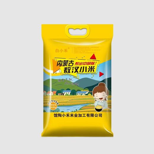 内蒙古敖汉小米15.8元1袋2.8斤，次日到 商品图3