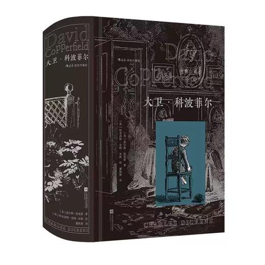 大卫·科波菲尔（插图珍藏版）世界名著外国文学 后浪正版 商品图4
