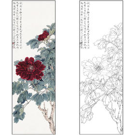 工笔画白描底稿于非闇花鸟牡丹《国色天香》临摹勾线高清打印稿FA49