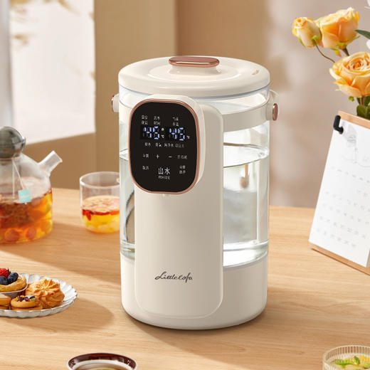 小画仙电热开水瓶LDSP-3501E 商品图3