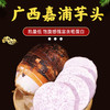 【荔浦芋头】大果饱满 粉糯不柴 蒸煮后香甜软糯 老少皆宜 3-5斤特大果（1.4-1.8斤/个） 商品缩略图1